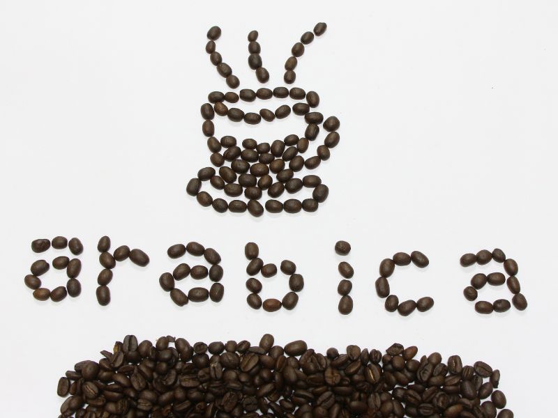 Café Arábica: conheça suas características!