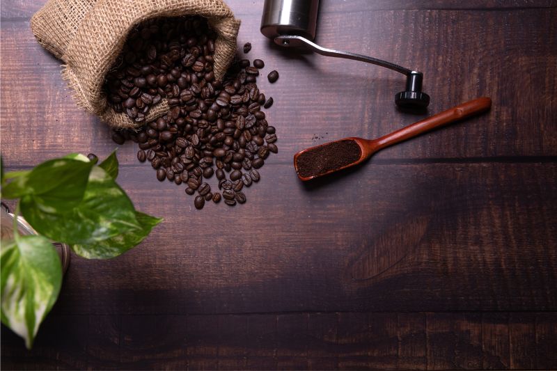 Cafeteira que moe grão: os 8 melhores modelos de 2024